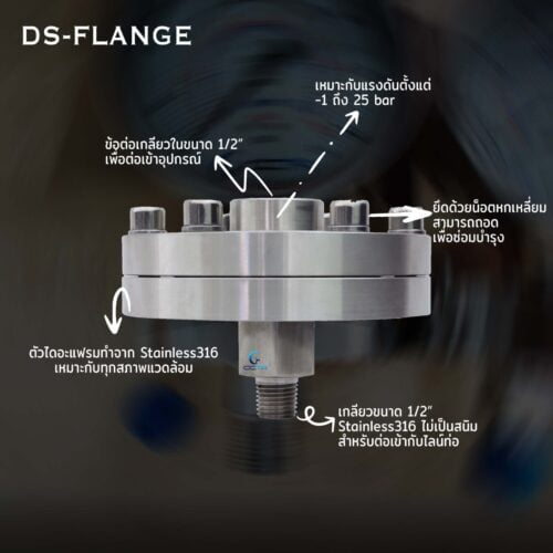 Flange Diaphragm seal for pressure gauge
