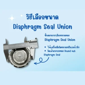 วิธีการเลือก-Diaphragm-Seal-Union-เกจวัดแรงดันติดไดอะแฟรม-ไดอะแฟรมซีล-Octa